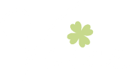 Voice